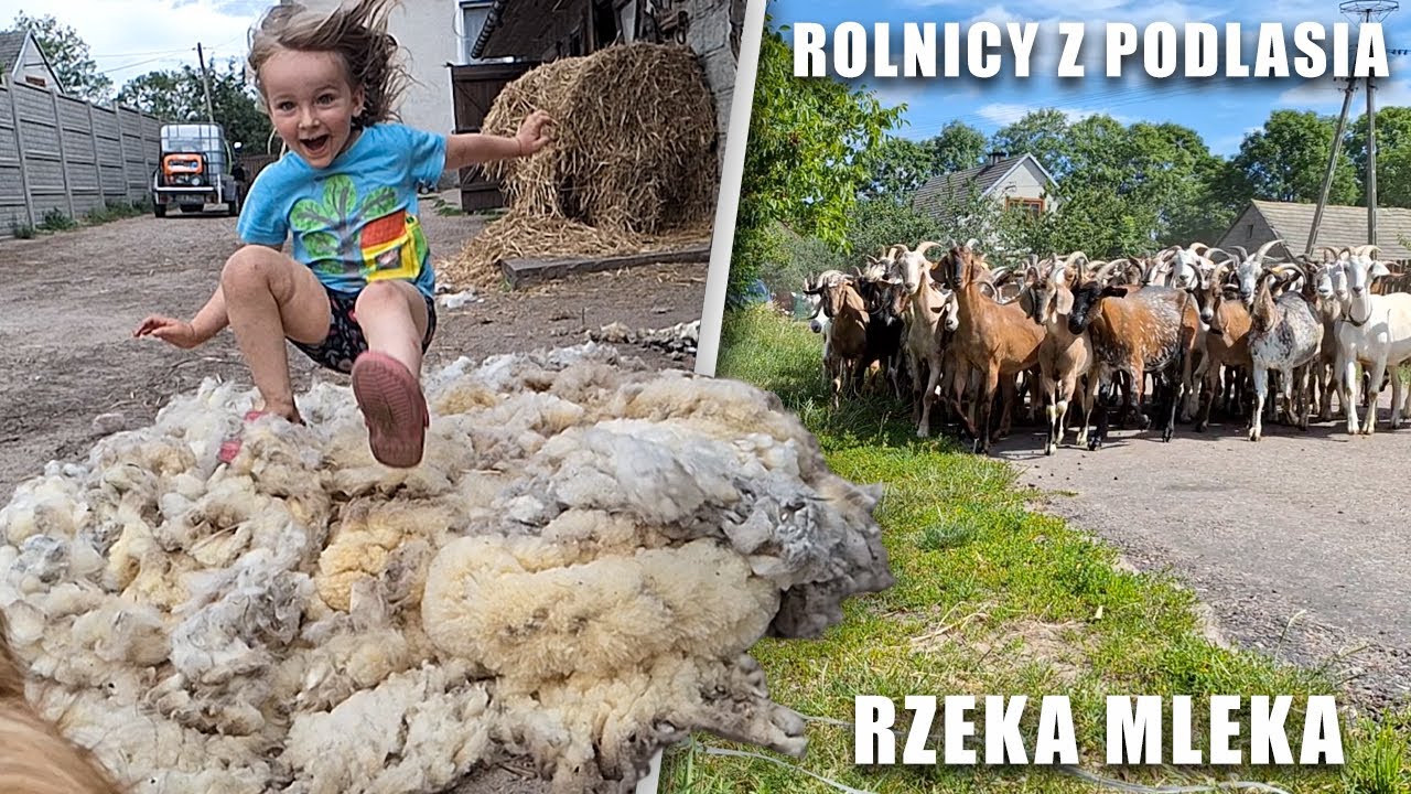 Rzeka mleka