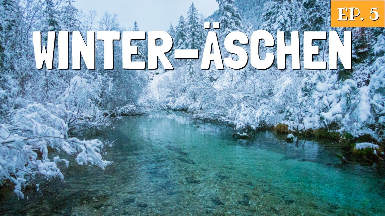 Äschen jagen in tiefstem Winter (abgelegener Bergfluss!) | Tal der Äschen ep.  5