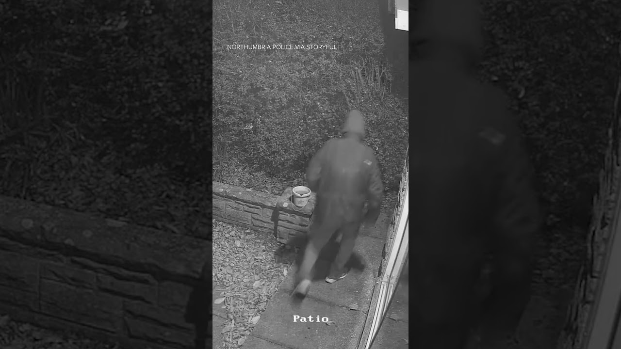 Moment Burglar Is Foiled by 'Home Alone-Style' Trap