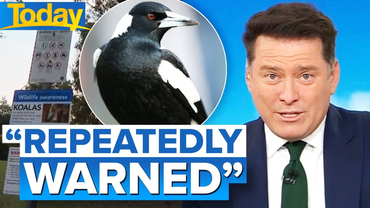 Karl slams council over baby's tragic death after magpie swooping accident | Today Show Australia
