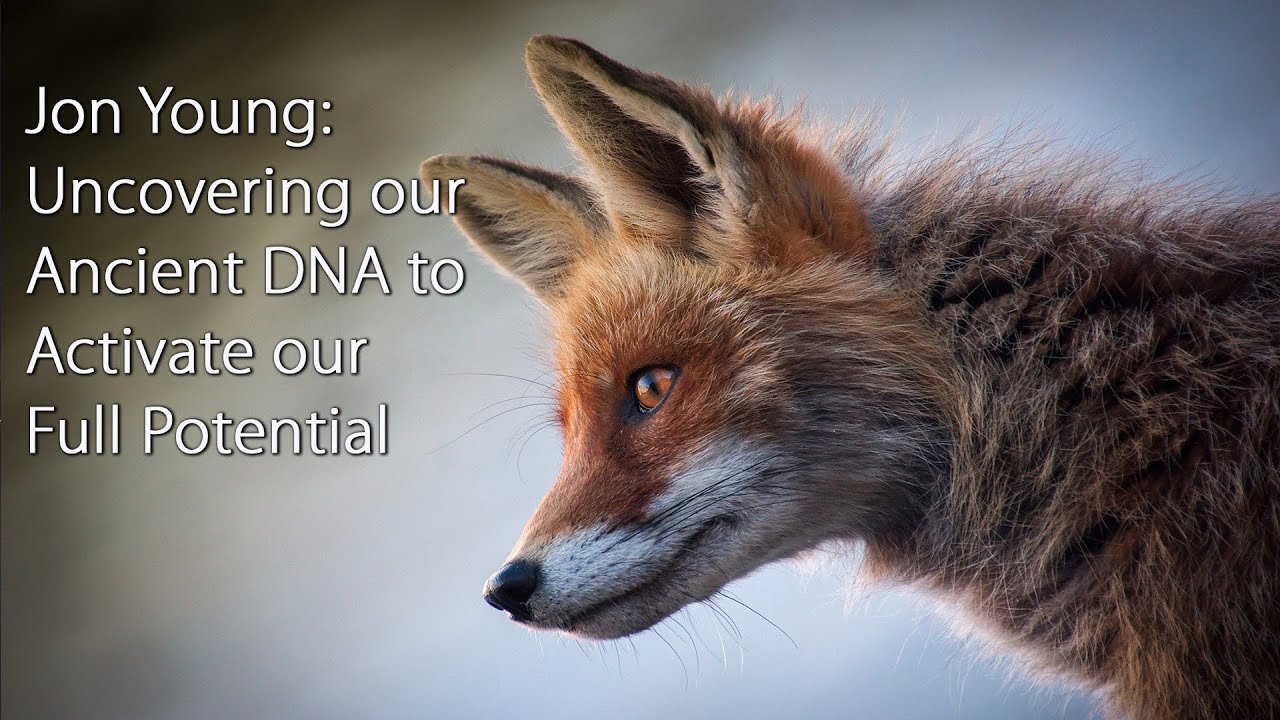 Jon Young: Uncovering our Ancient DNA to Activate our Full Potential