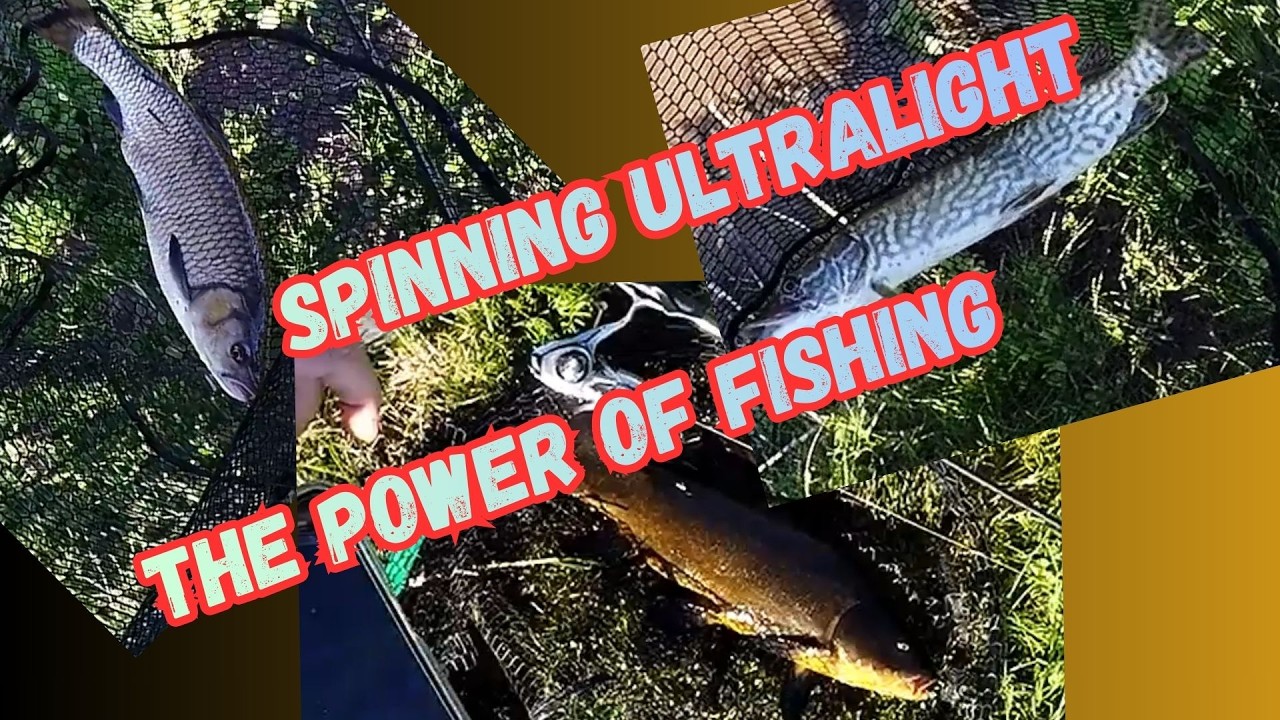 Spinning ultralight - the power of fishing