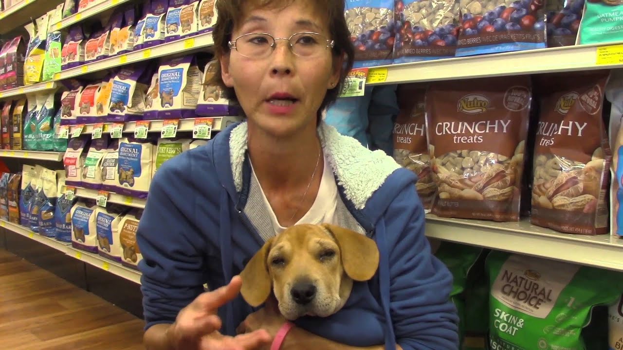 Good Karma Pet Rescue Documentary