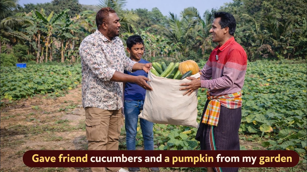 বন্ধু তার ছেলেকে নিয়ে আমার বাগানে এসেছিল #farmerlife #modernfarmer #vegetablefarming 