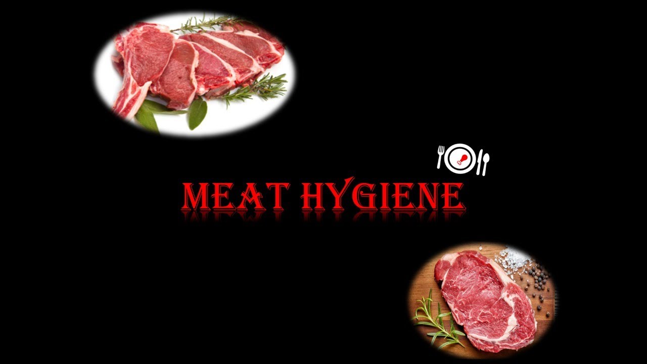 Lecture 1: Introduction to Meat Hygiene