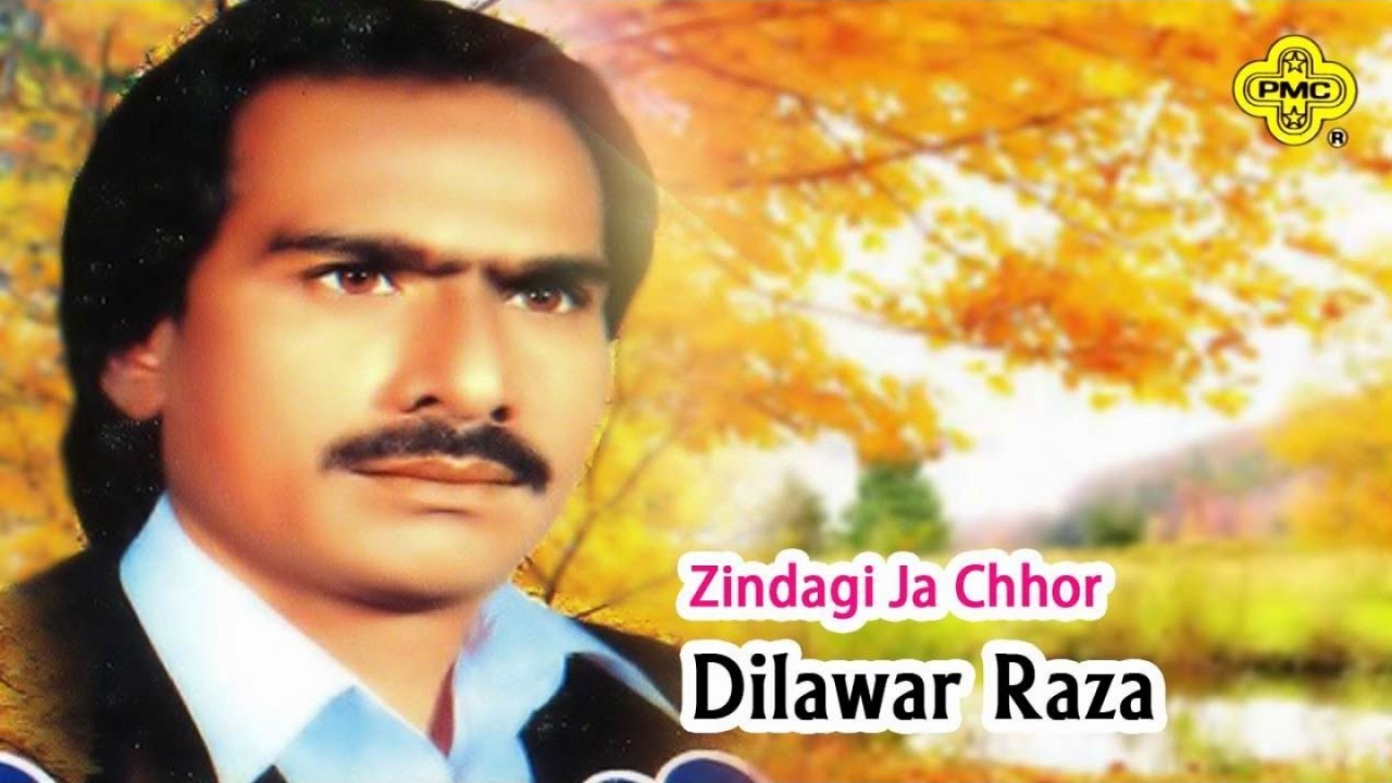 Dilawar Raza New Sad Song | Zindagi Ja Chhor | Pakistani Regional Song