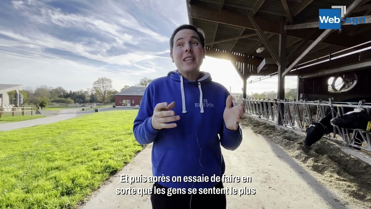350 vaches, 3 traites par jour et 12 salariés : visite de la ferme des Rives d'Or