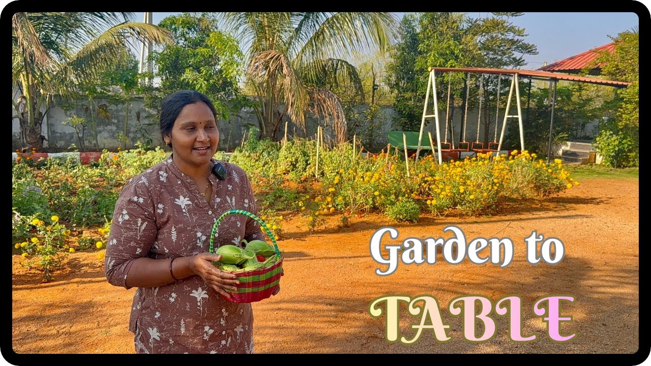 Peaceful Farm Life | Harvesting | ఈ రోజు కోసం ఎంత ఎదురు చూస్తున్నామో 😊| 👉 “Farm to Table ❤️”