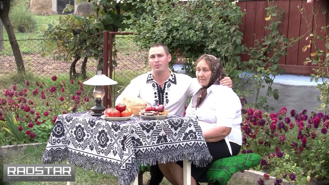 Mihai Perian-In casuta de la drum