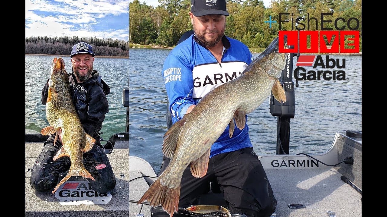Allt om spinnfiske efter höstgädda med Mattias Åström Team Abu Garcia
