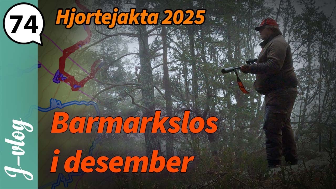 Barmarkslos i desember | Jaktvlog 74