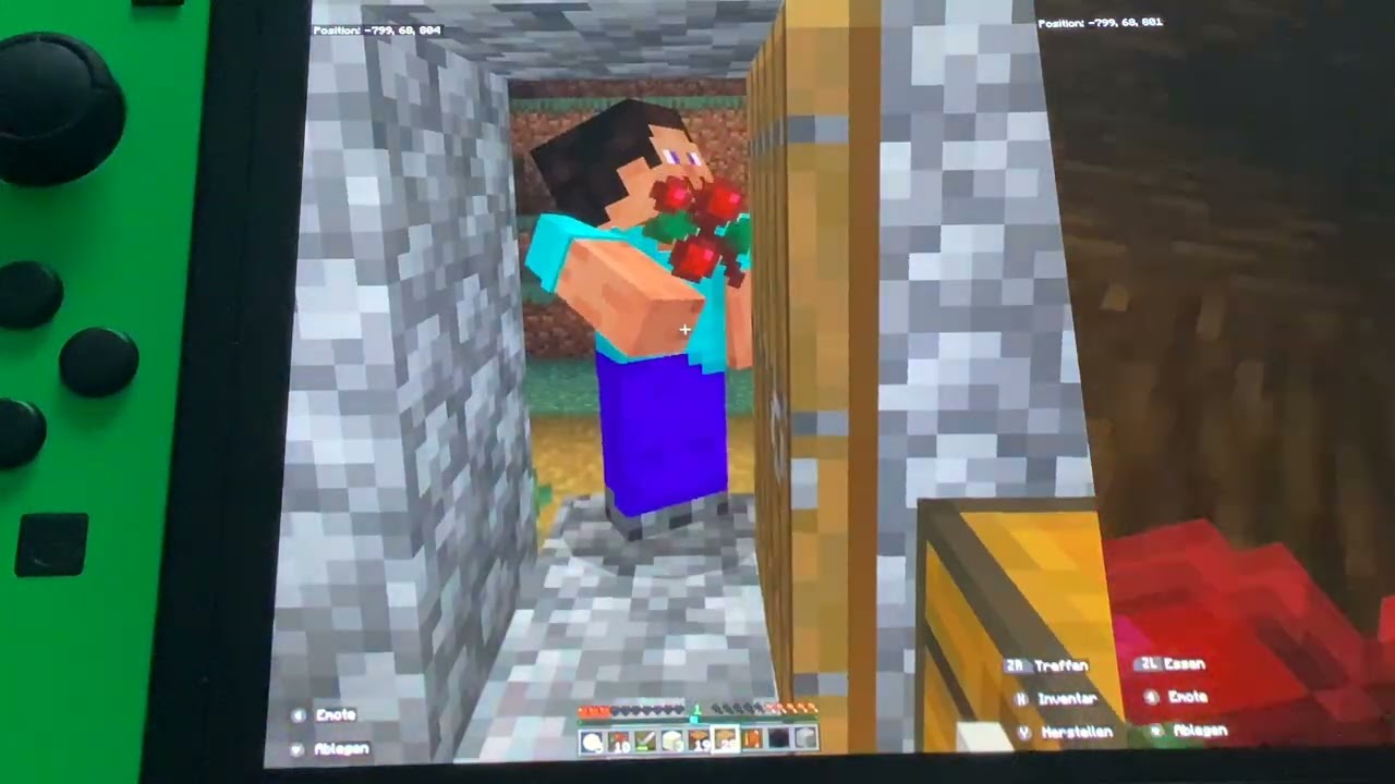 - Das Dorf | Minecraft ICE CUBE Folge #2 