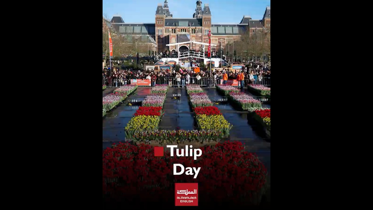 Amsterdam Celebrates Dutch National Tulip Day with 200,000 Free Tulips