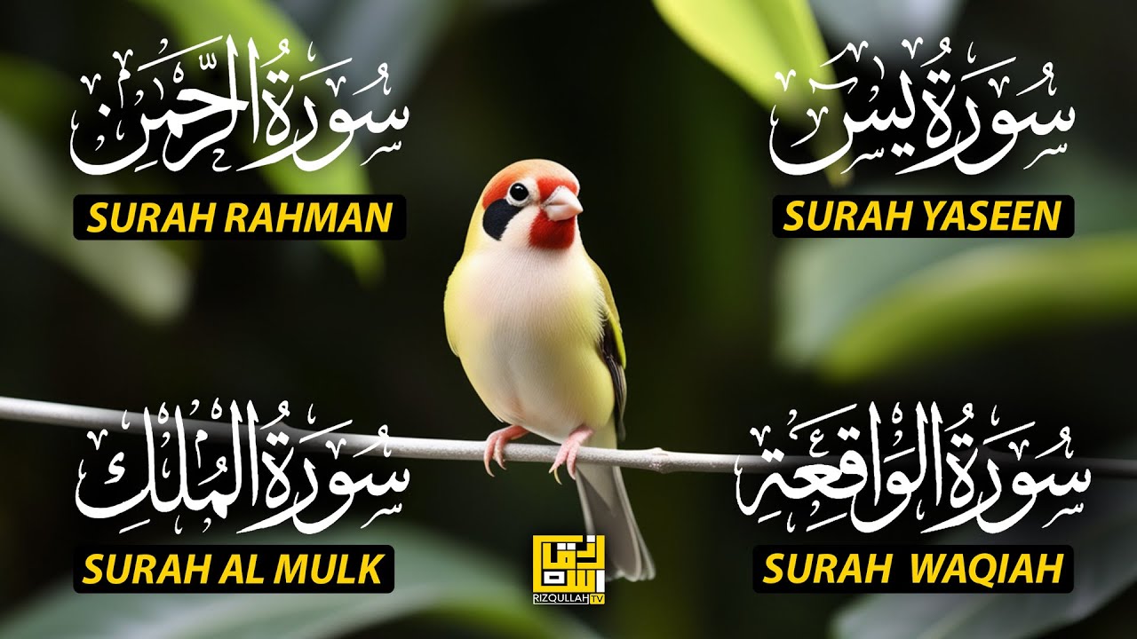 Magical Recitation Surah Yaseen (Yasin) | Surah Rahman | Surah Waqiah | Surah Mulk EP190