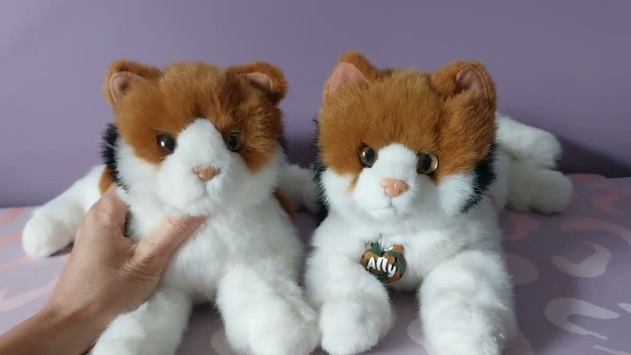 Unboxing Allie the Calico Cat by Douglas Cuddle Toys 🙀🖤🧡🤍