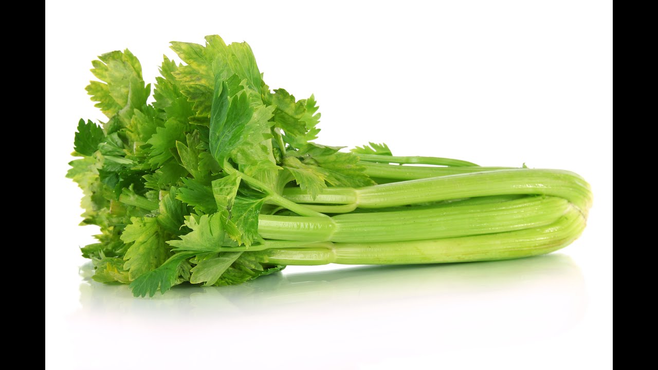 Incotec Promotor Celery