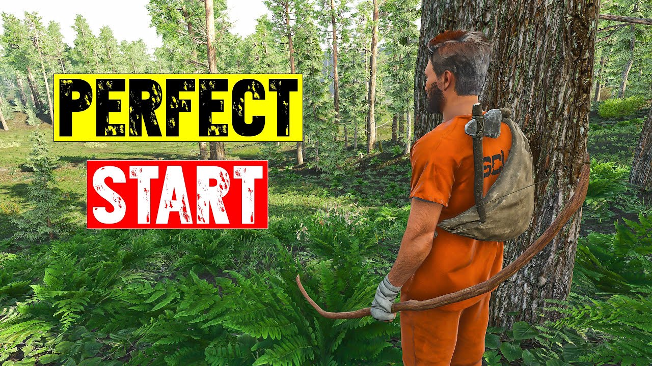 Scum 1.0: Master the Basics - Your Complete Starter Guide