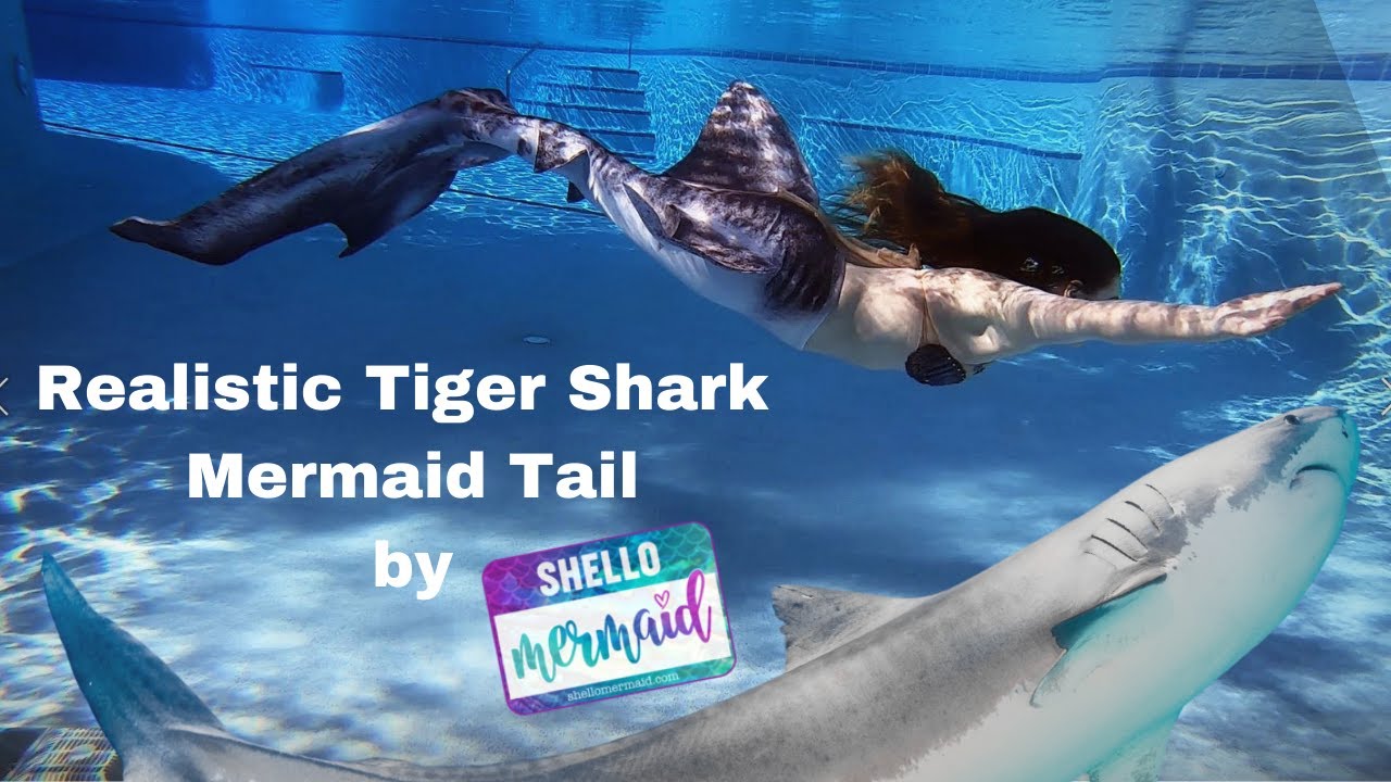 Realistic Tiger Shark Mermaid Tail | Custom Shello Mermaid Tail Review & First Swim 