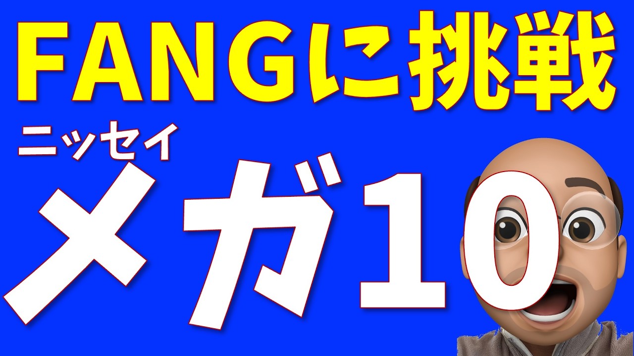 【FANGに挑戦】ニッセイ メガ10 は買うべきか？【コスト 0.385%】