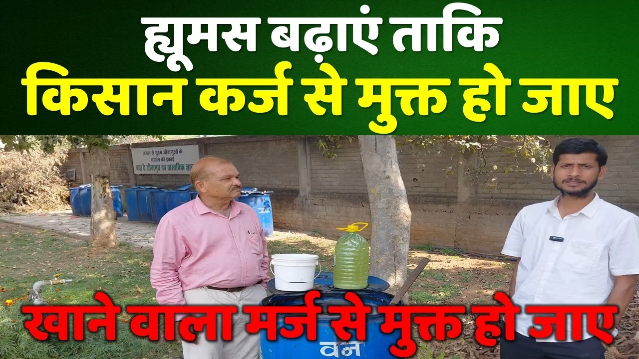 उर्वर भूमि ही रसायन मुक्त खेती का आधार है, अतः भूमि में ह्यूमस बढ़ाएं।