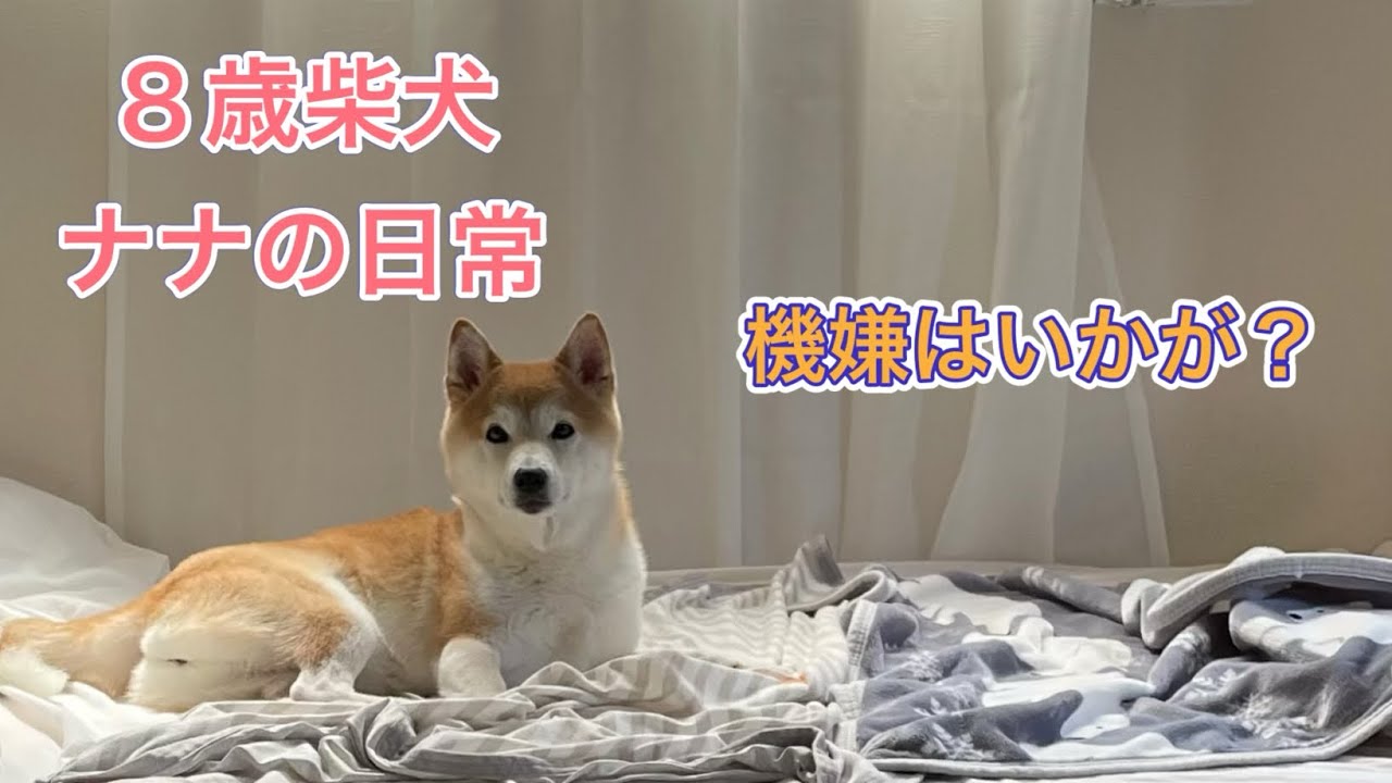 [そんな日もある] だって気分屋ですから