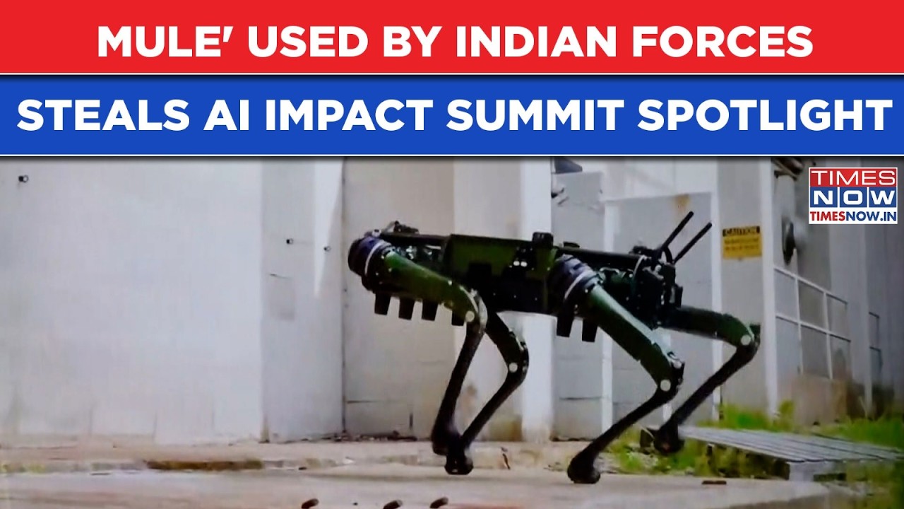 Indian Armed Forces Use This Robot MULE That Turned AI Impact Summit Showstopper: Watch