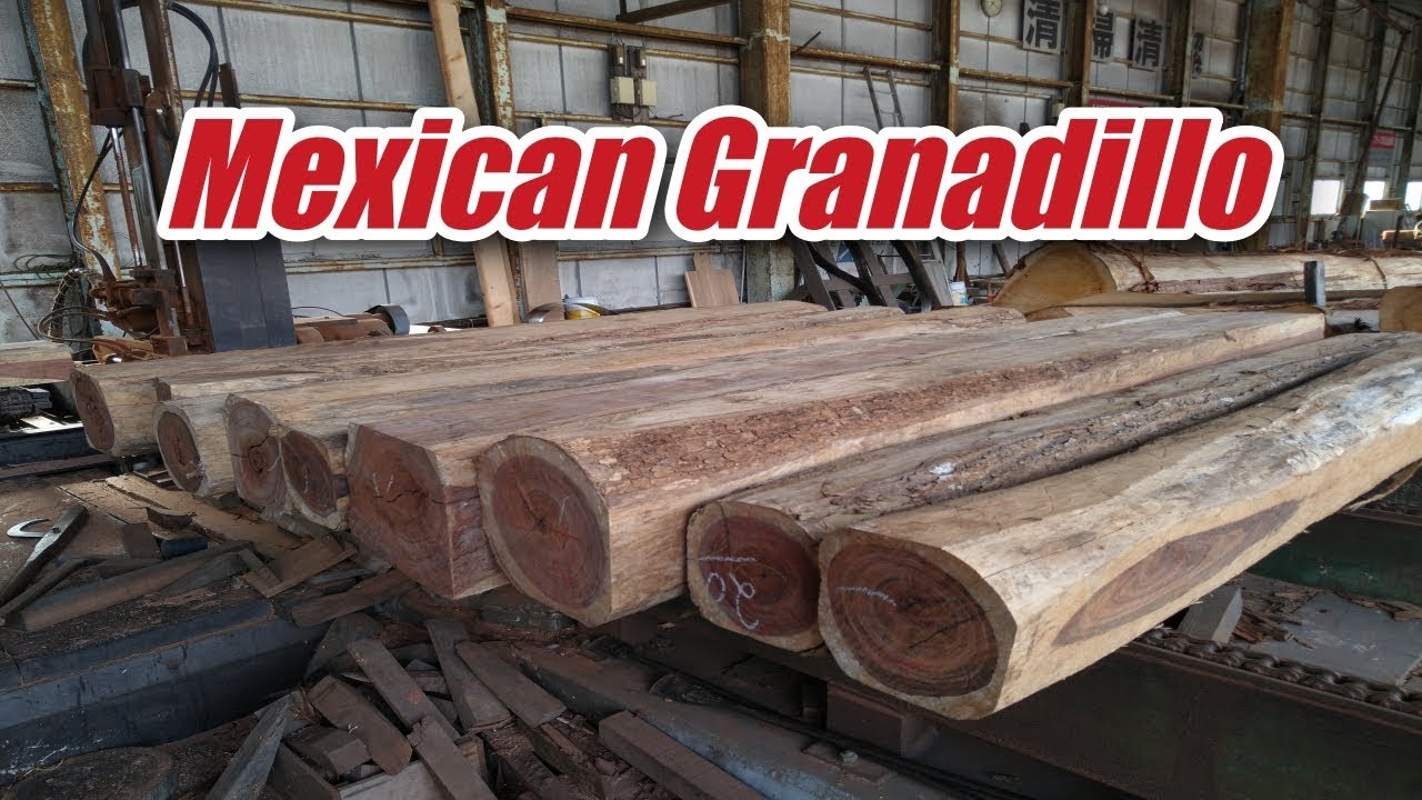 Mexican Granadillo sawing!!