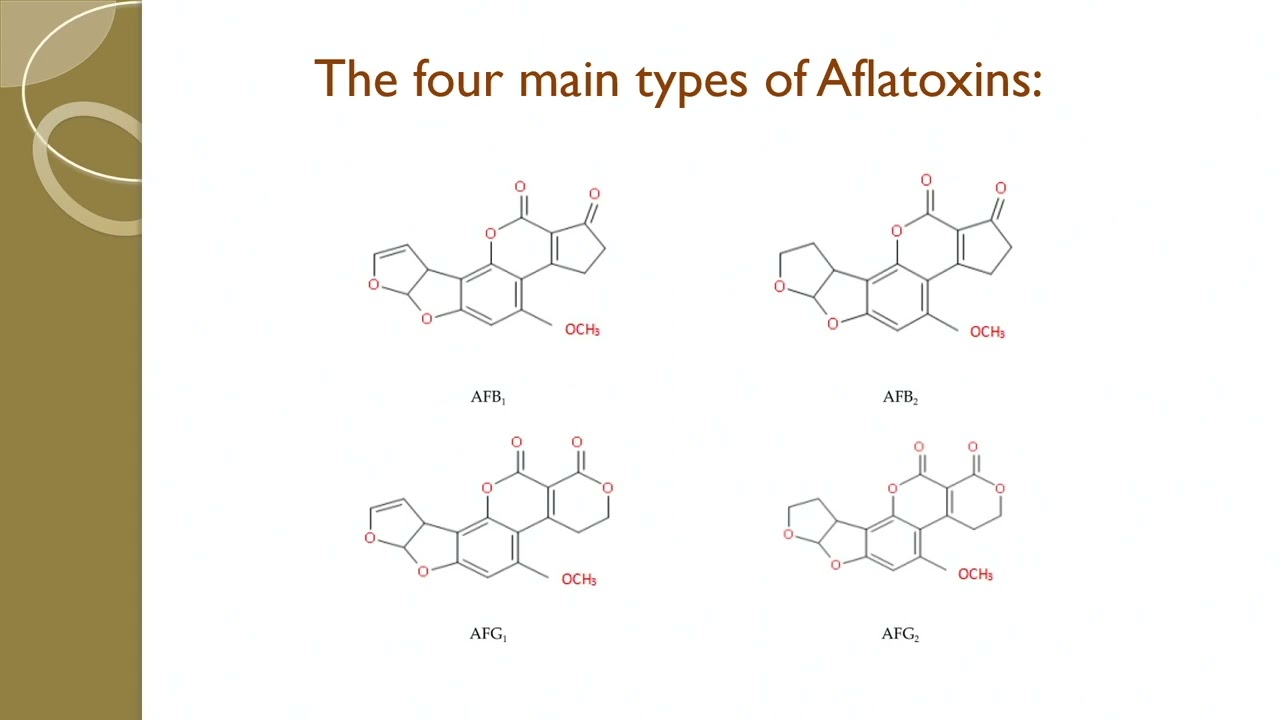 Food Safety Hot Topics: Aflatoxin Factors and MOSH/MOAH