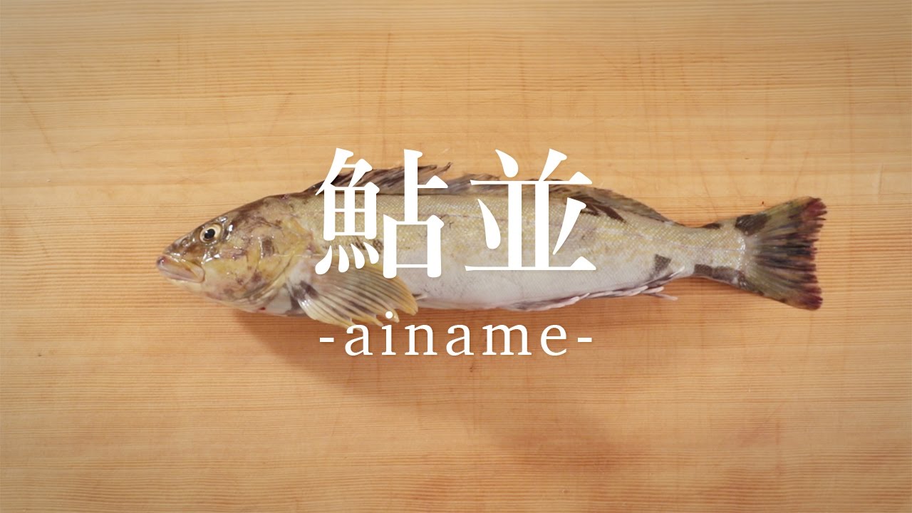 鮎並（あいなめ）のさばき方 - How to filet Fat Greenling -｜日本さばけるプロジェクト