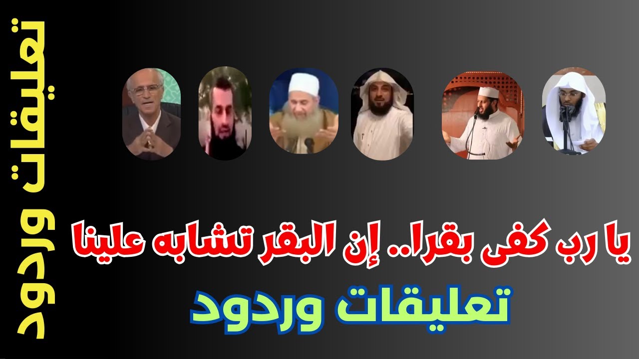 تعليقات وردود : يا رب كفى بقرا .. ان البقر تشابه علينا