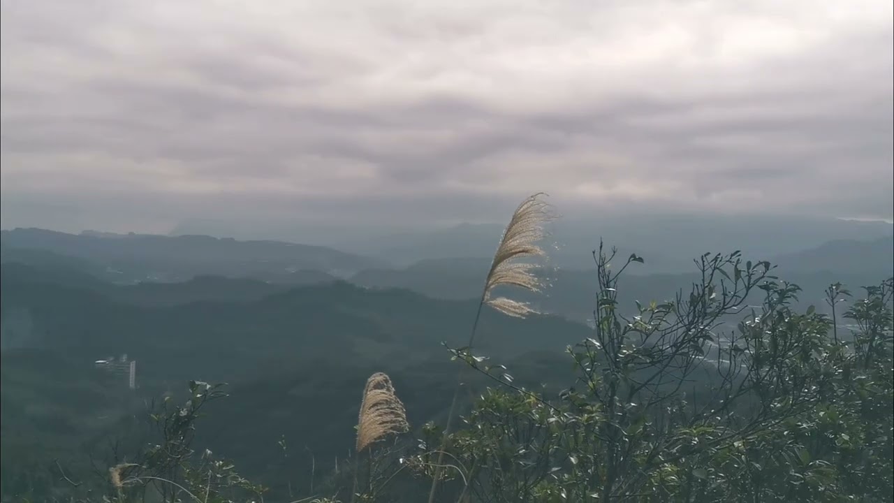 20260221瑪陵坑