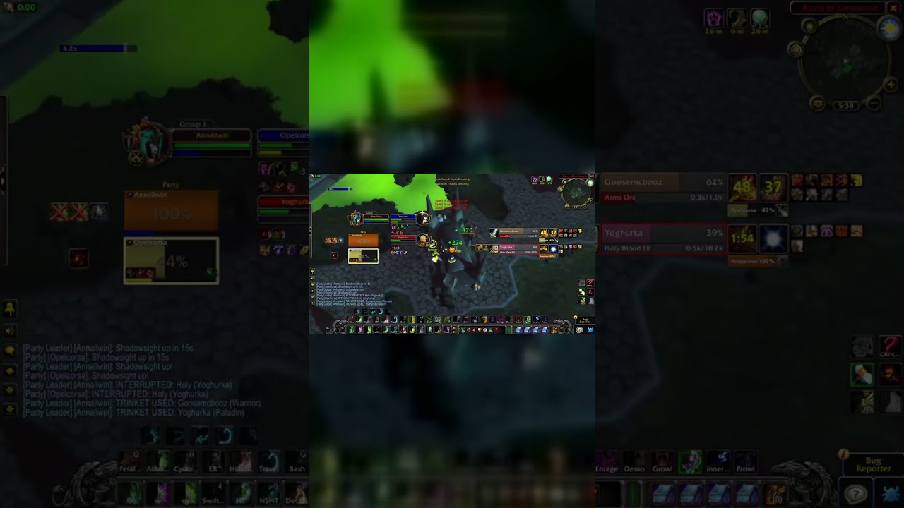 Druid/Rogue vs Warrior/Paladin (2v2) | TBC Classic Arena | Resto Druid POV