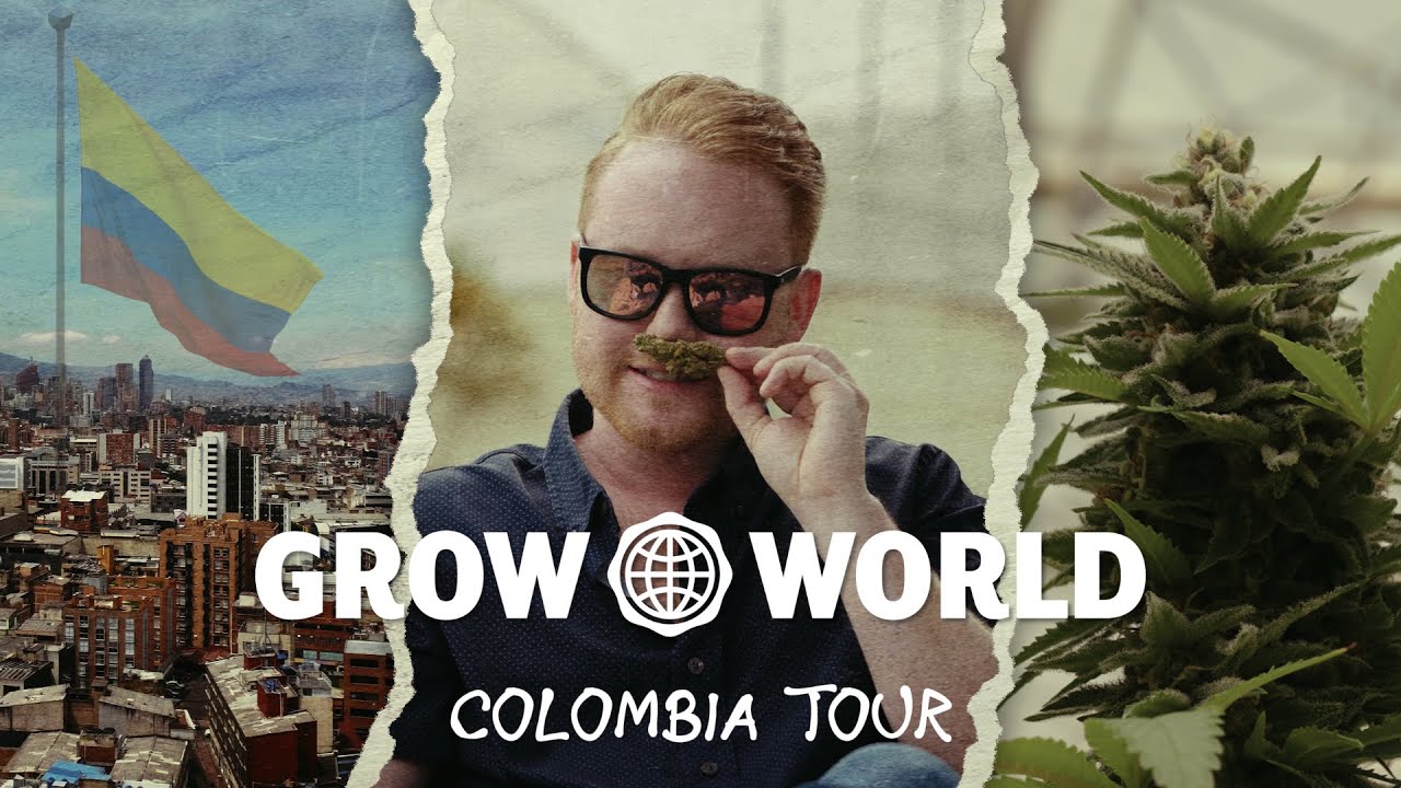Grow World Tour: Colombia (Teaser)