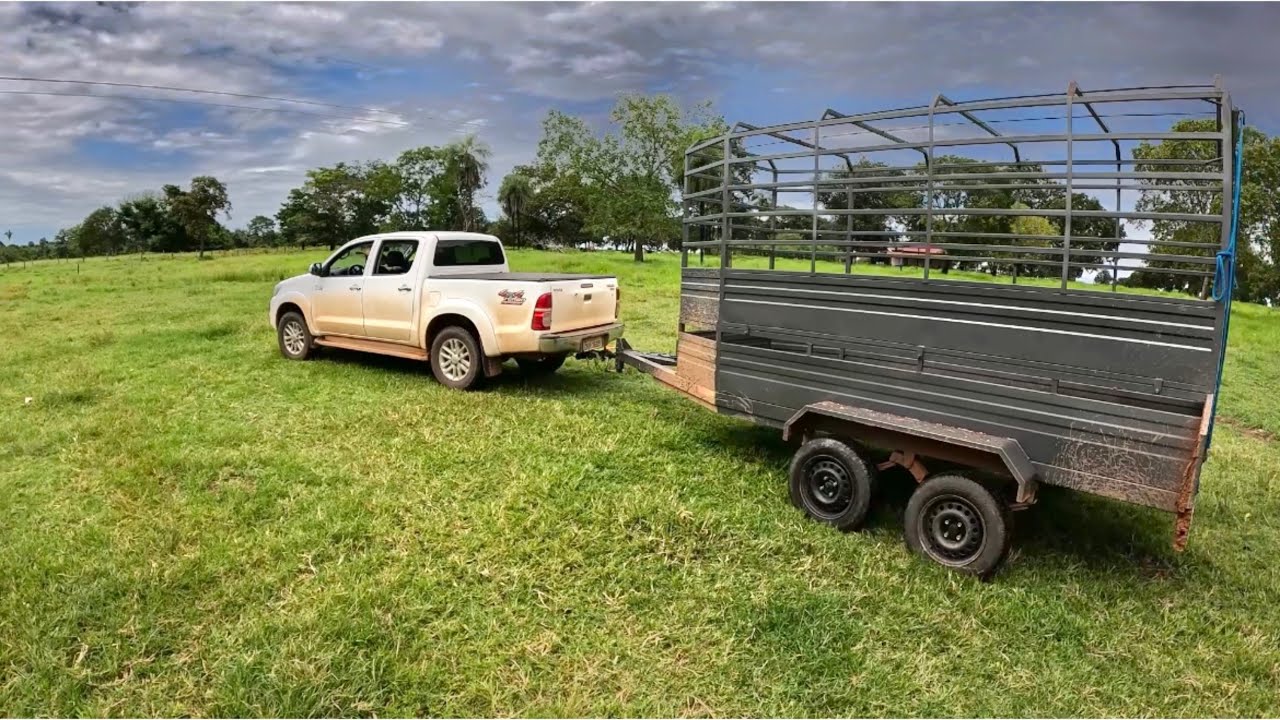 Agora‼️Na lida do gado! PASSANDO as Medidas da CARRETA TRUCK⚠️