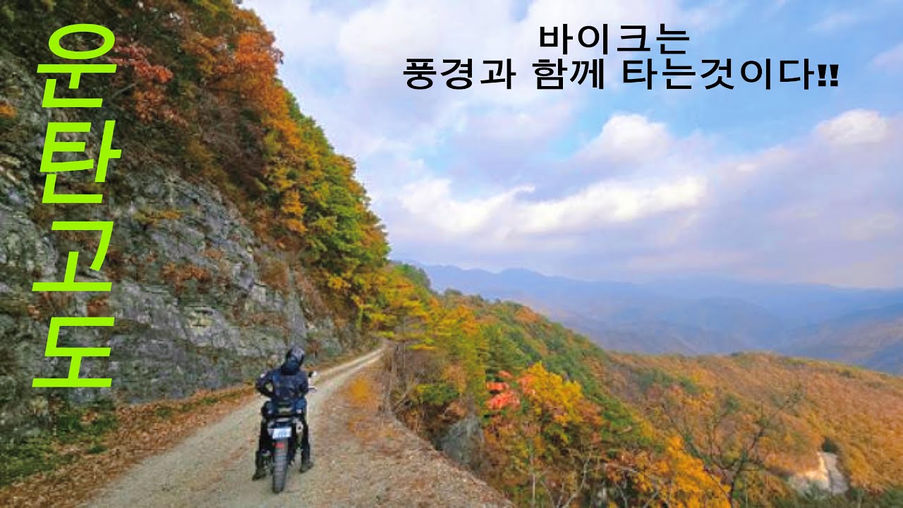 20231025 망경대산, 운탄고도 임도주행 #브이스트롬650 #어깨춤 #dl650 #듀얼바이크 #경치감상 #강원도는이맛에옵니다 #평일팀 #야생화 #offroad
