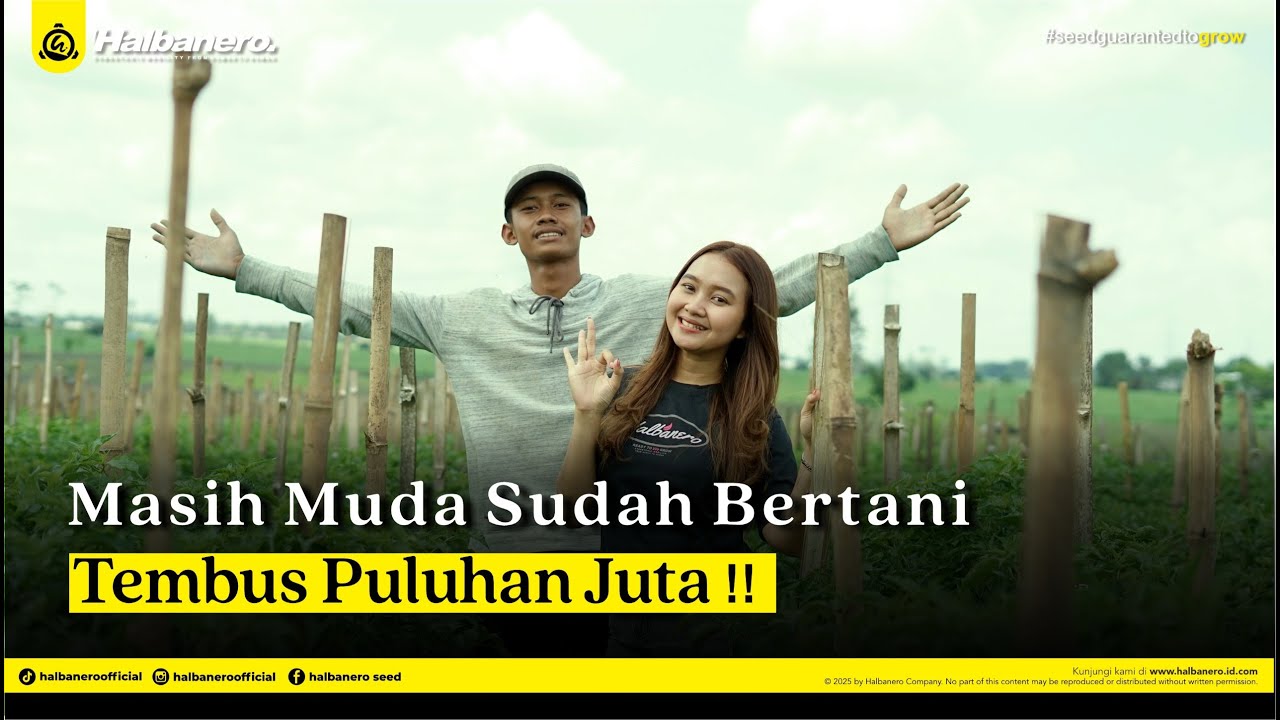 DARI ANAK MUDA JADI PETANI CABAI, TANAM BRONTOSENO NGGA NEKO-NEKO ❗❗❗