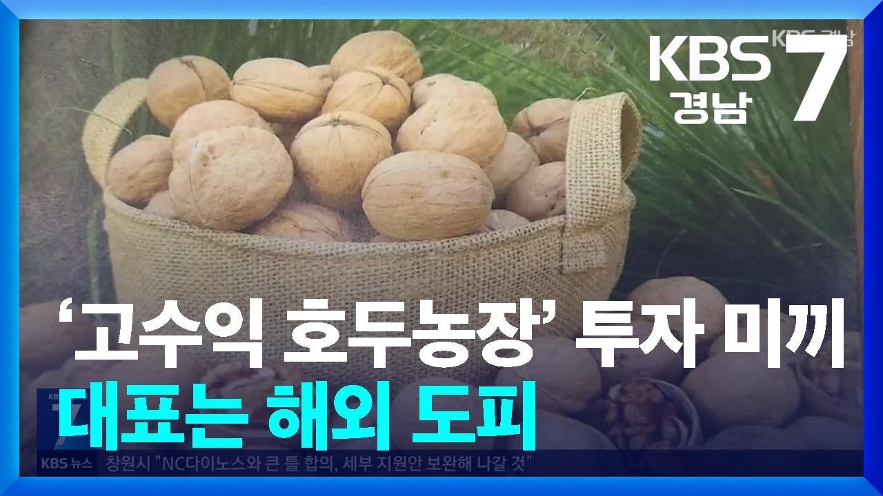 &lsquo;고수익 호두농장&rsquo; 투자 미끼&hellip;대표는 해외 도피 / KBS  2025.08.27.