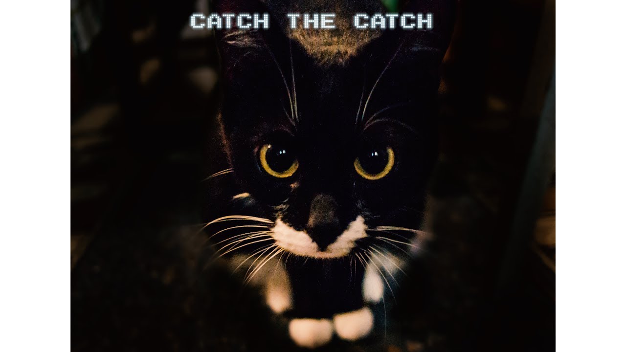 C.C. Catch - Catch The Catch Instrumental Minimix