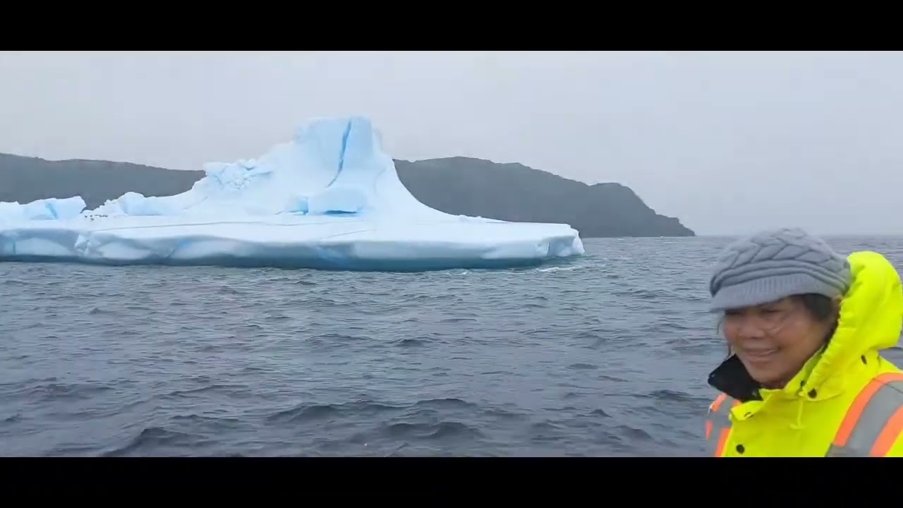 Newfoundland island tours in Canada.