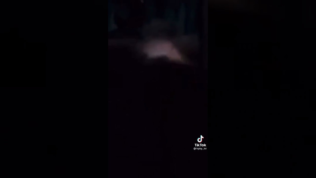 (YN Black) Sirius will always favor Harry over you...