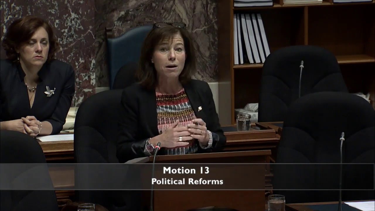 Selina Robinson calls on government to take big money out of politics