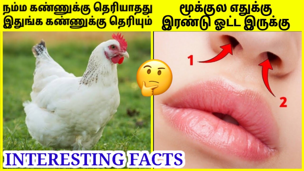 வித்தியாசமான தகவல்கள் | Amazing Facts In Tamil | Mind Blowing Facts In Tamil | TAMIL AMAZING FACTS