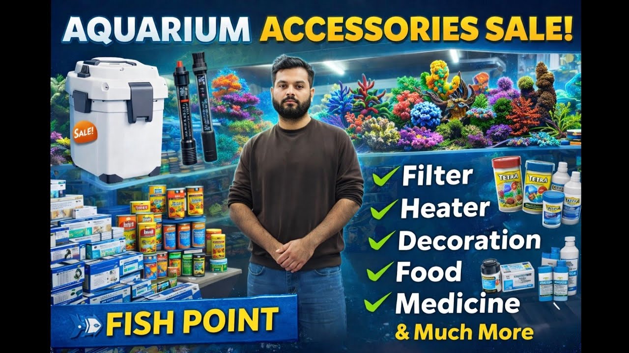 Aquarium Filter | Heater | Canister Filter | Aquarium Lights | Decoration | Stones | Sand For Sale