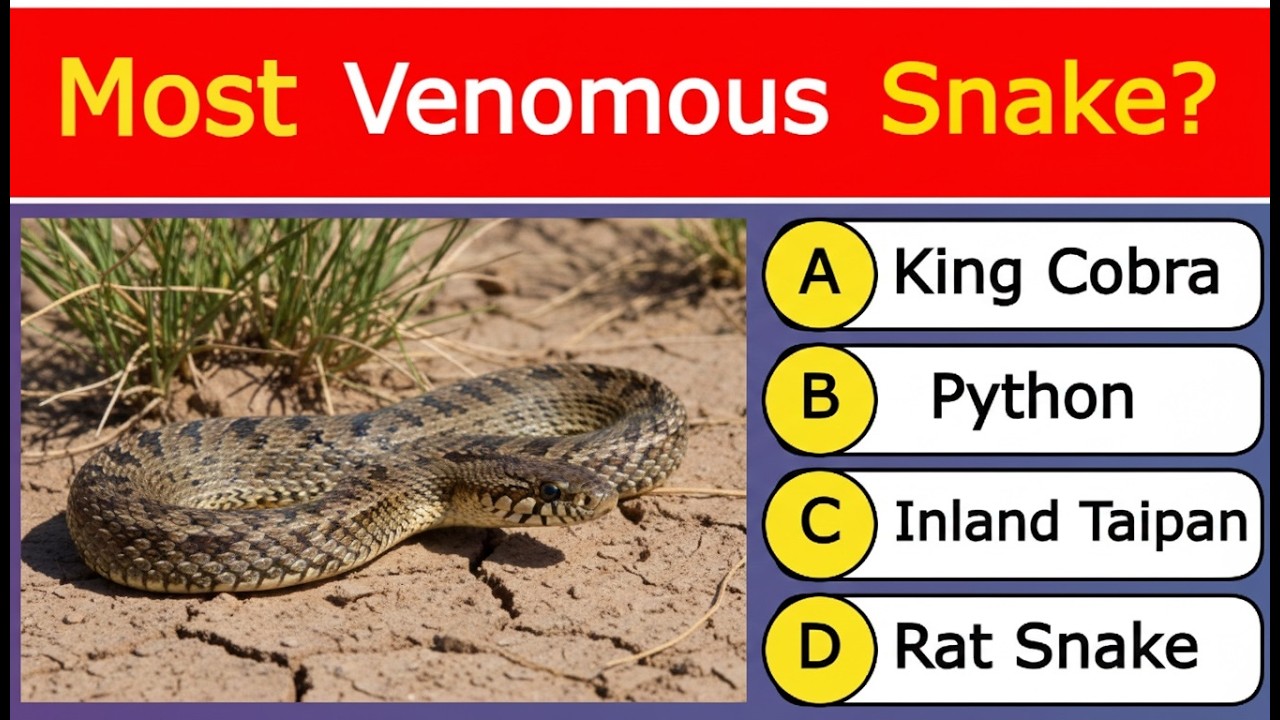 Most Venomous snake in the world? GK | GK Question | English GK | GK GS | GK Class | GK in English
