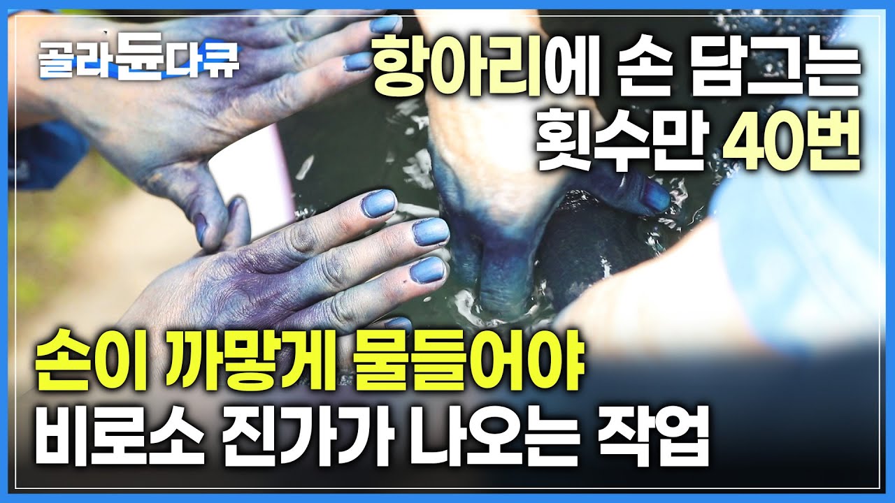 수십차례 항아리에 손을 담가야 하는 일 | 항아리에 가득 찬 염료 발효액에 손까지 까맣게 물들여야 비로소 진정한 색이 나온다 ‘천연 염색’ | #골라듄다큐