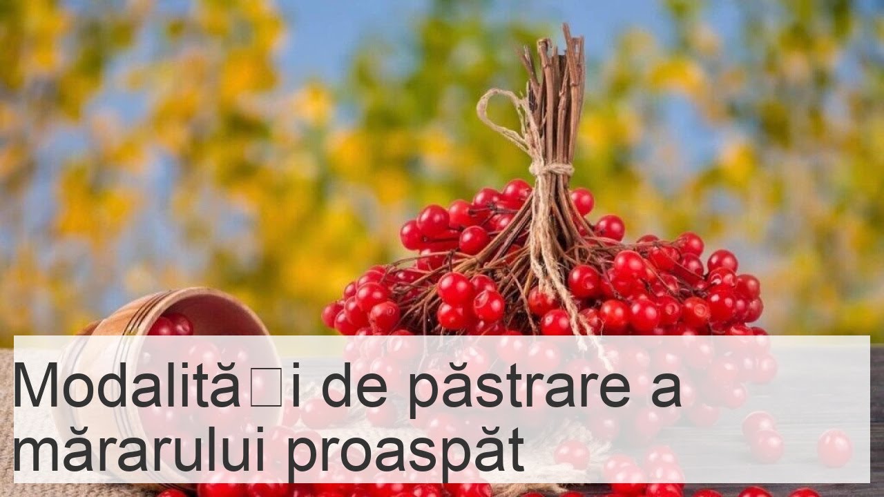 Păstrați mărarul proaspăt: metode de uscare și depozitare fără congelare (98 characters)