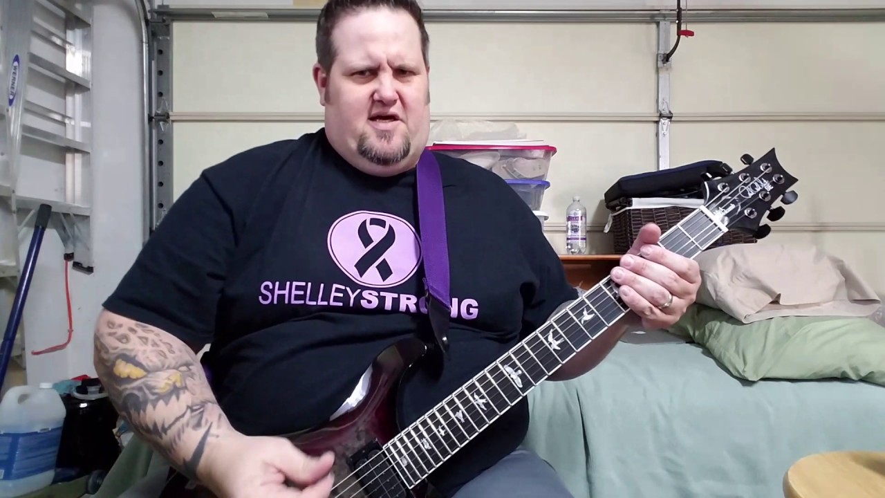 2017 Mark Holcomb Signature PRS SE Review