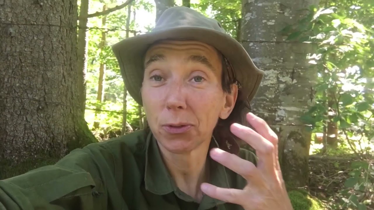 Bushcraft Girl shows “The Sixth Tree” and a few other Visual Tracking practices. Just Notice...