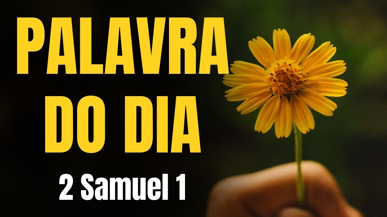 PALAVRA DO DIA | Quando a dor encontra a fé e o coração aprende a honrar mesmo ferido