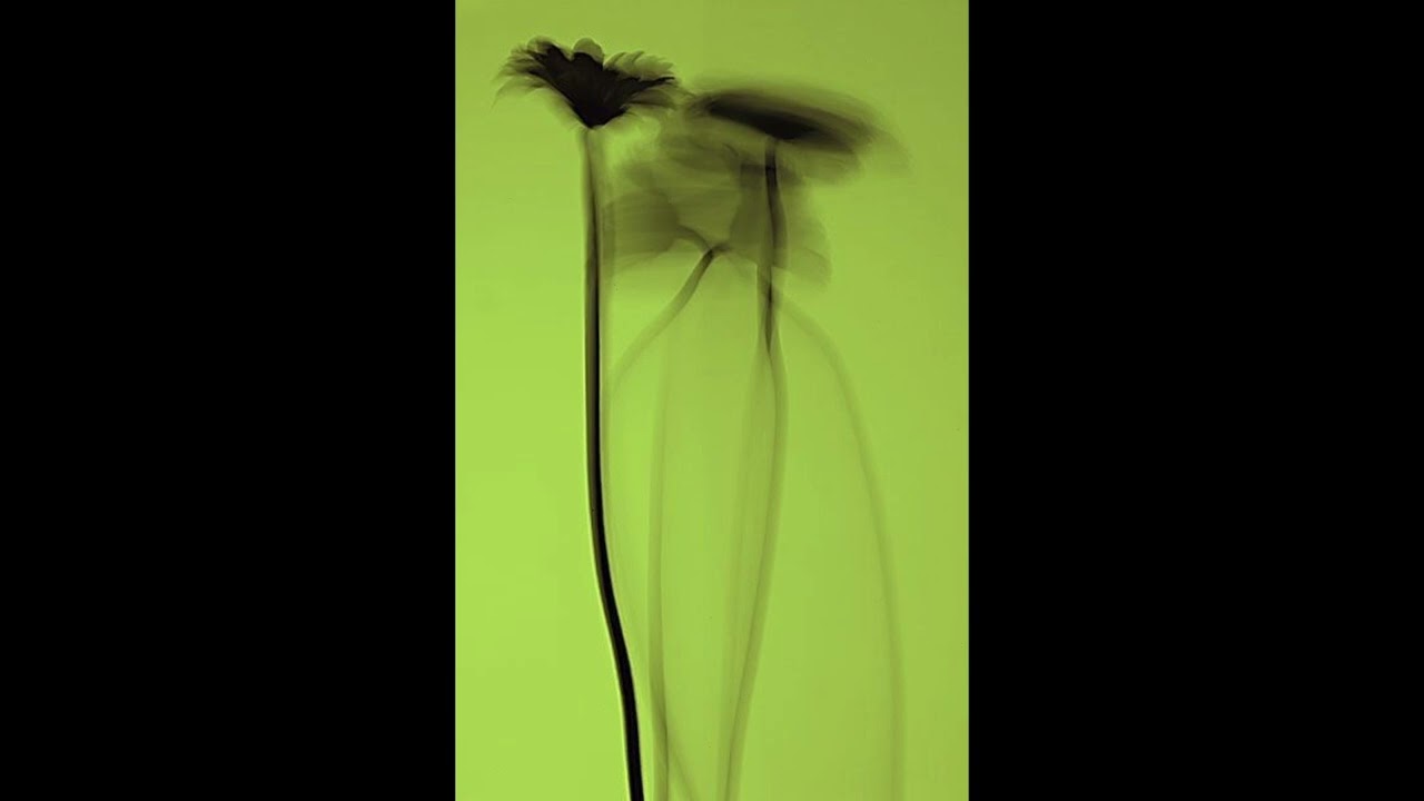 cleo sol x ragz originale type beat / soulful jazz / - 